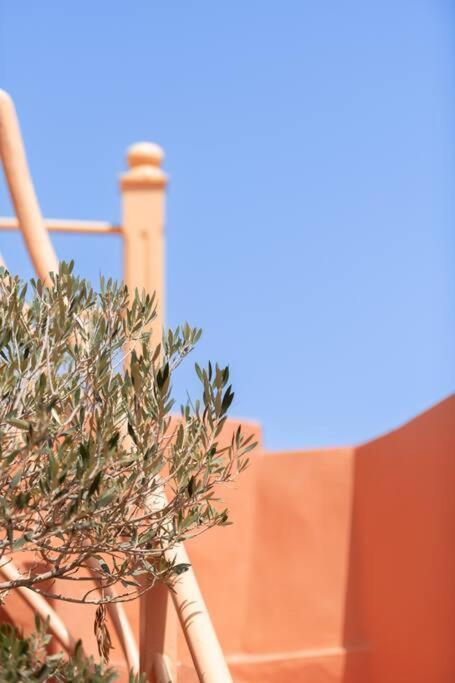 Riad Le Petit Bacha Marrakesh Bagian luar foto